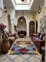 The Vivid Chromatic Rug – Hand-Knotted Pure Natural Wool Masterpiece